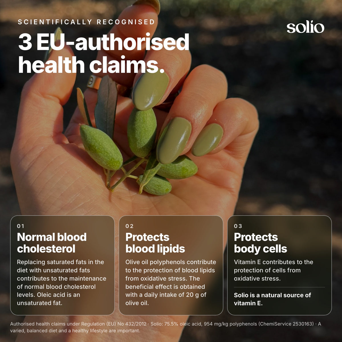 Solio — High-polyphenol olive oil from Apulia (954 mg/kg)